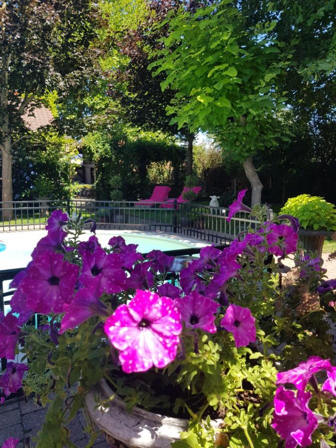 B&B Le Jardin NeerNeerpelt Exteriér fotografie