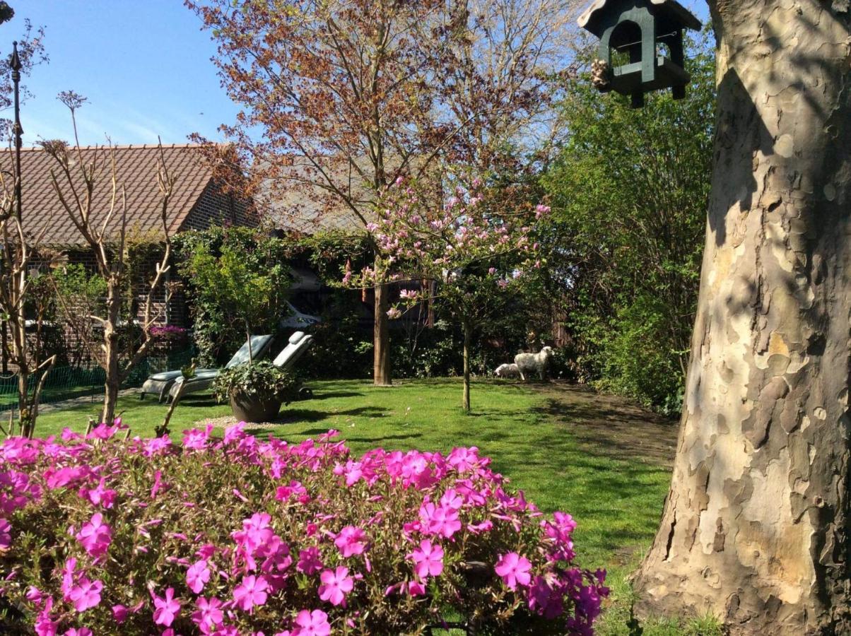 B&B Le Jardin NeerNeerpelt Exteriér fotografie